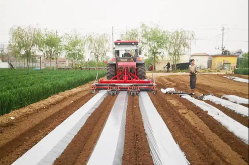 Agriculture cultivator plastic mulch layer laying machine