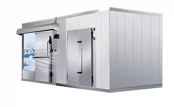Hinged door walk-in freezer for cold storage