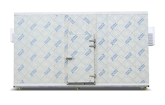 Walk-in freezer for fish, vegetables, fruits, and ice cream