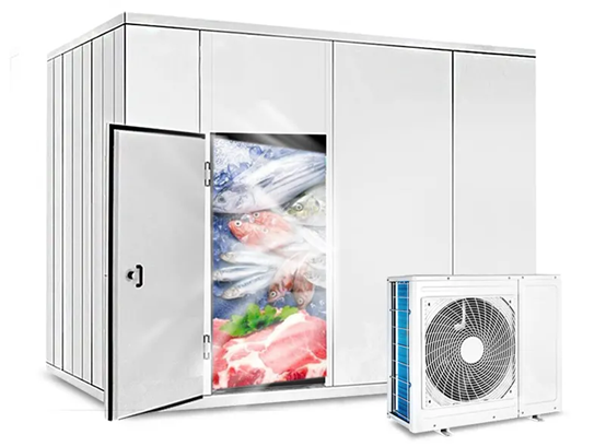 Walk-in blast freezer for fish storage