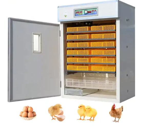 Low 240 china egg incubators