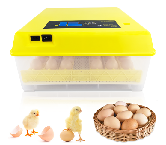 Efficient egg incubator for chicken