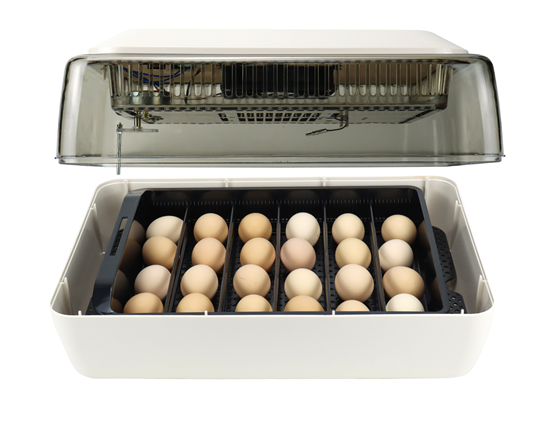 Automatic incubator for hatching eggs turning