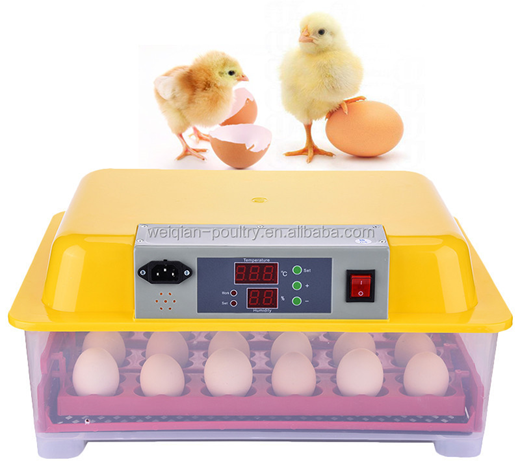 24 egg chicken incubator